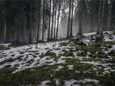 Standalone Solutions